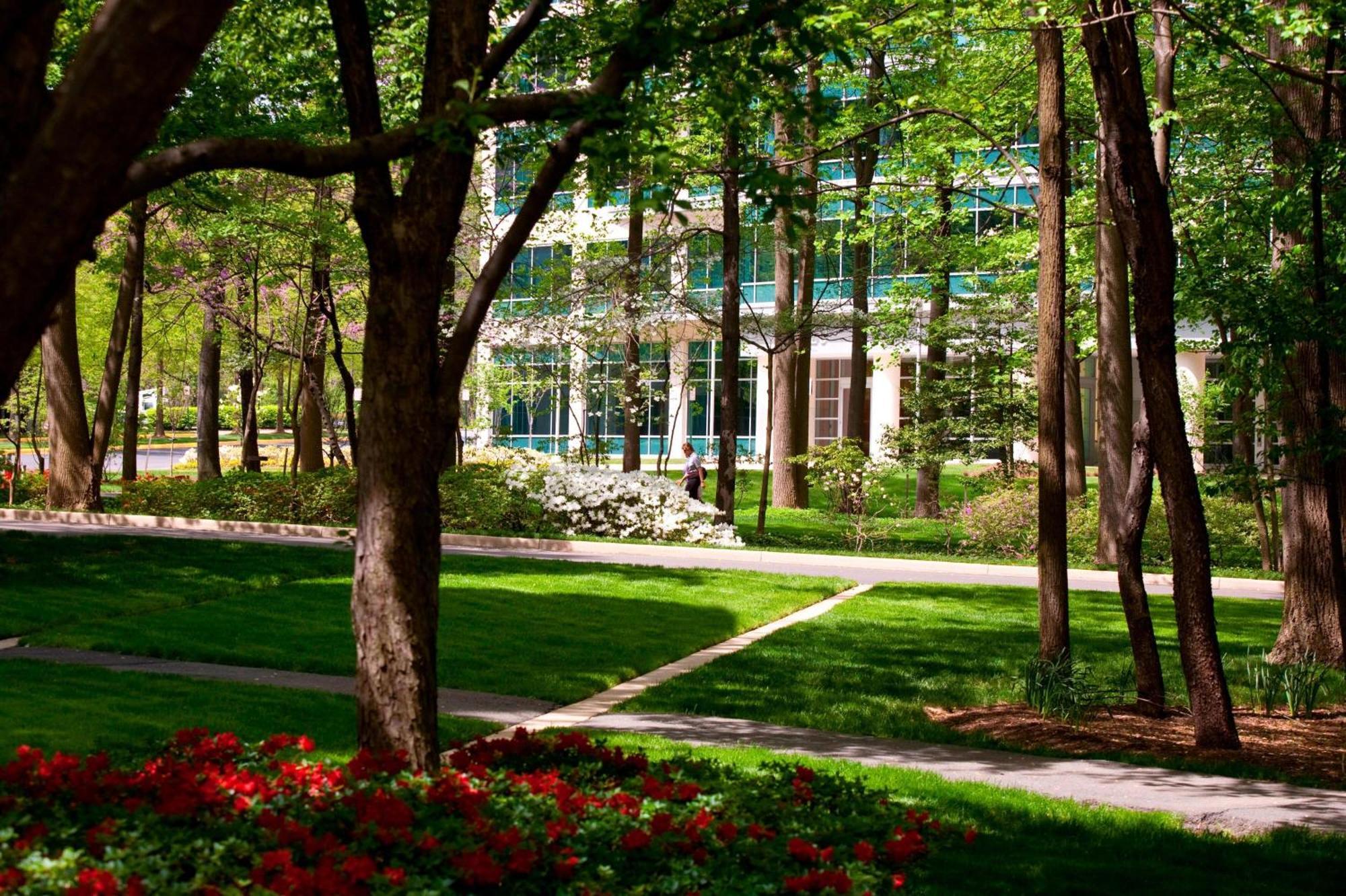 Falls Church Marriott Fairview Park Exterior photo